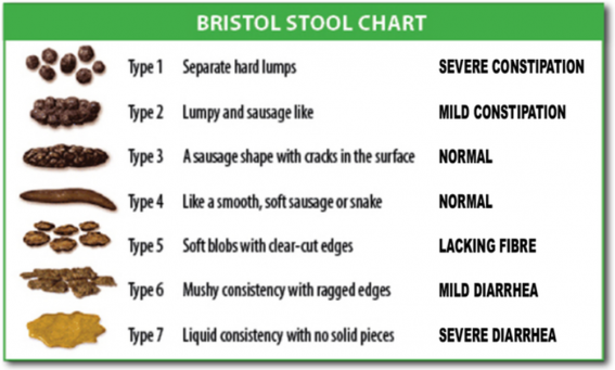 Stupnice kvality stolice-BristolStoolChart.png