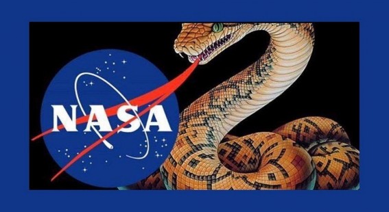 NASA LOGO SNAKE.jpg